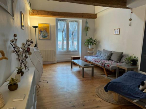 Duplex quartier historique au pied de la Bastille
